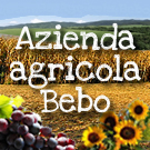 Agriturismo e Bed and Breakfast a Tarquinia