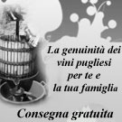 VINI PUGLIA - vendita online di vino pugliese