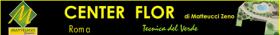 CENTERFLOR