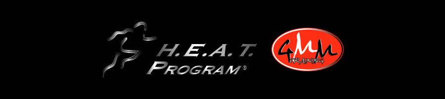 HEAT PROGRAM