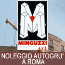 Minguzzi noleggio autogru e piattaforme aeree a roma