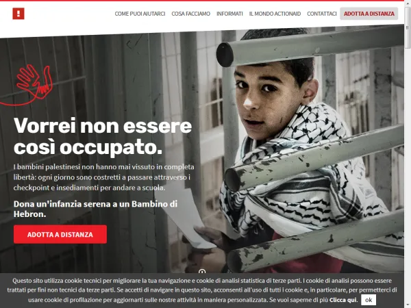 ACTION AID INTERNATIONAL