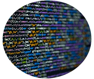 Elaborazione software gestionali